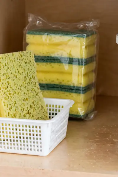 Sponge standing upright in a ventilated holder to dry